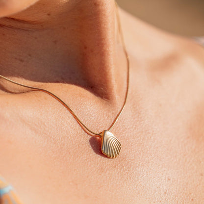 Seashell Necklace Gold