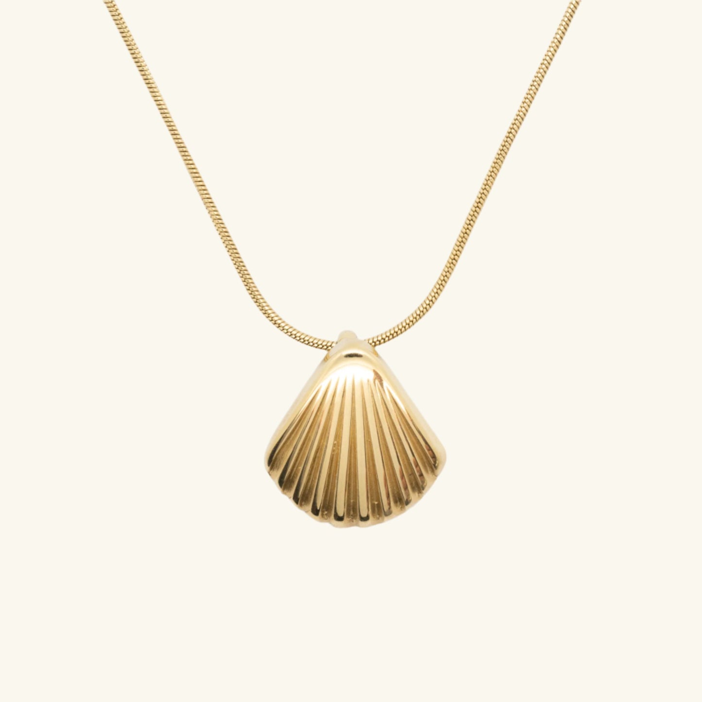 Seashell Necklace Gold